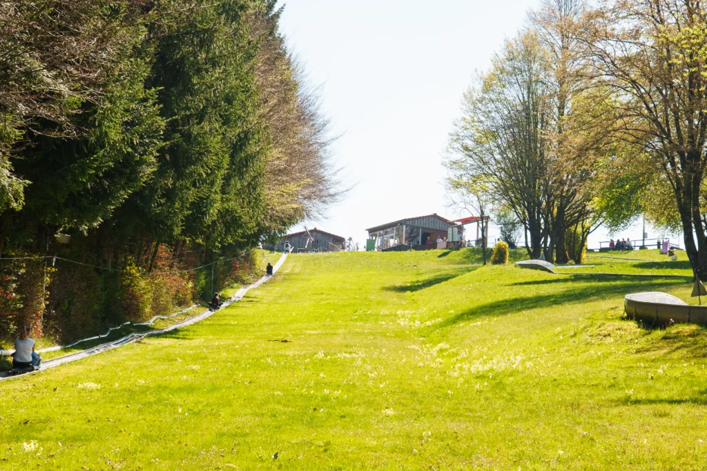 Blick auf die Sommerrodelbahn im Rodelzentrum Kaisersbach auf einer grünen Hangwiese.